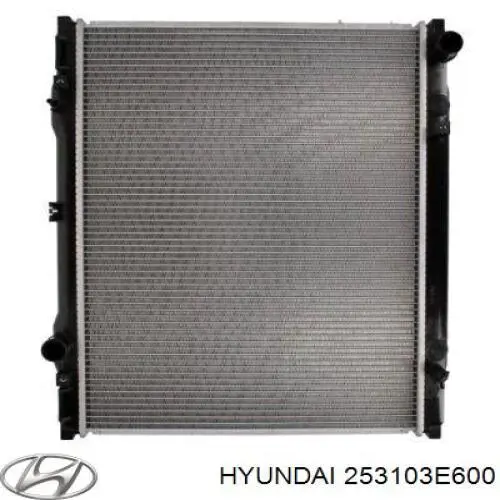 Радиатор охлаждения двигателя Hyundai/Kia 253103E600 цена, от 137.84 USD