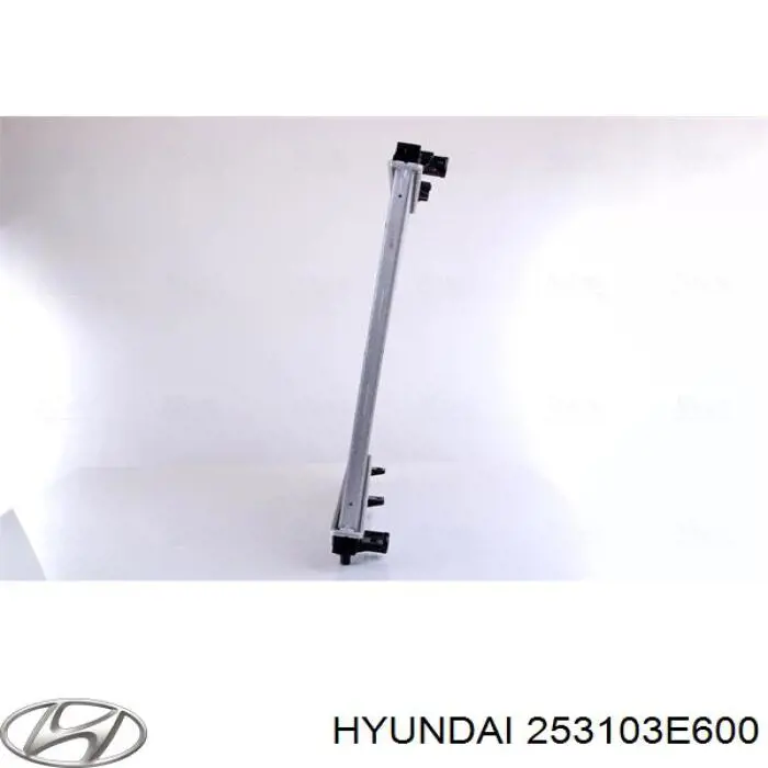 Купить 253103E600 Hyundai/Kia Радиатор водяной
