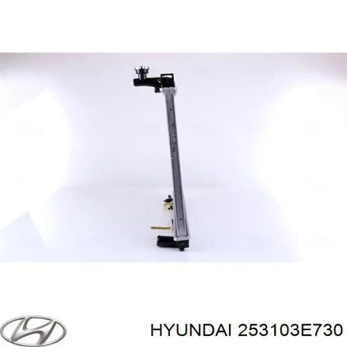 Радиатор охлаждения Hyundai/Kia 253103E730