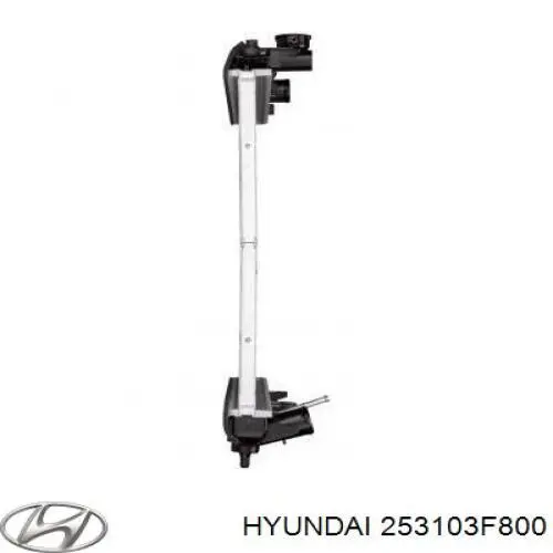 253103F800 Hyundai/Kia Радиатор основной