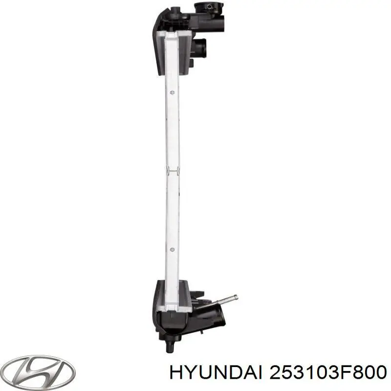 253103F800 Hyundai/Kia радиатор