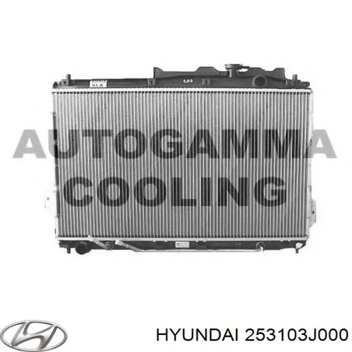 Купить 253103J000 Hyundai/Kia Радиатор водяной
