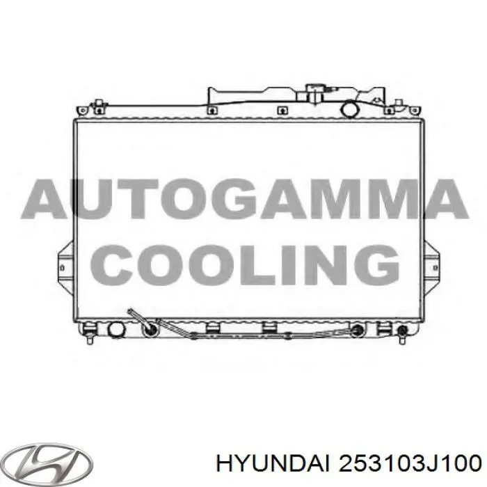 253103J100 Hyundai/Kia Радиатор основной
