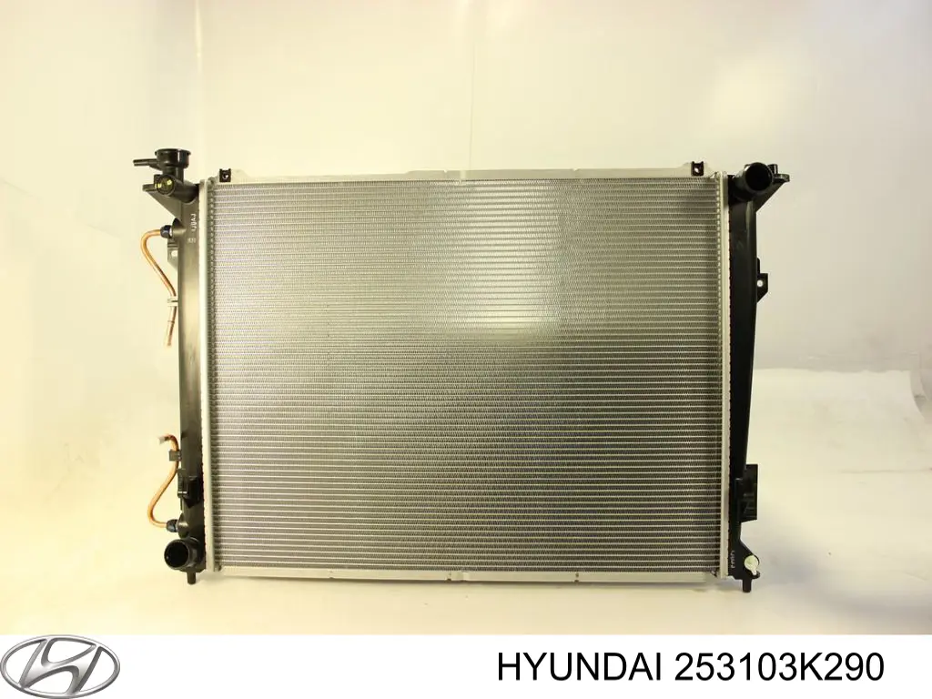 Радиатор 253103K290 Hyundai/Kia