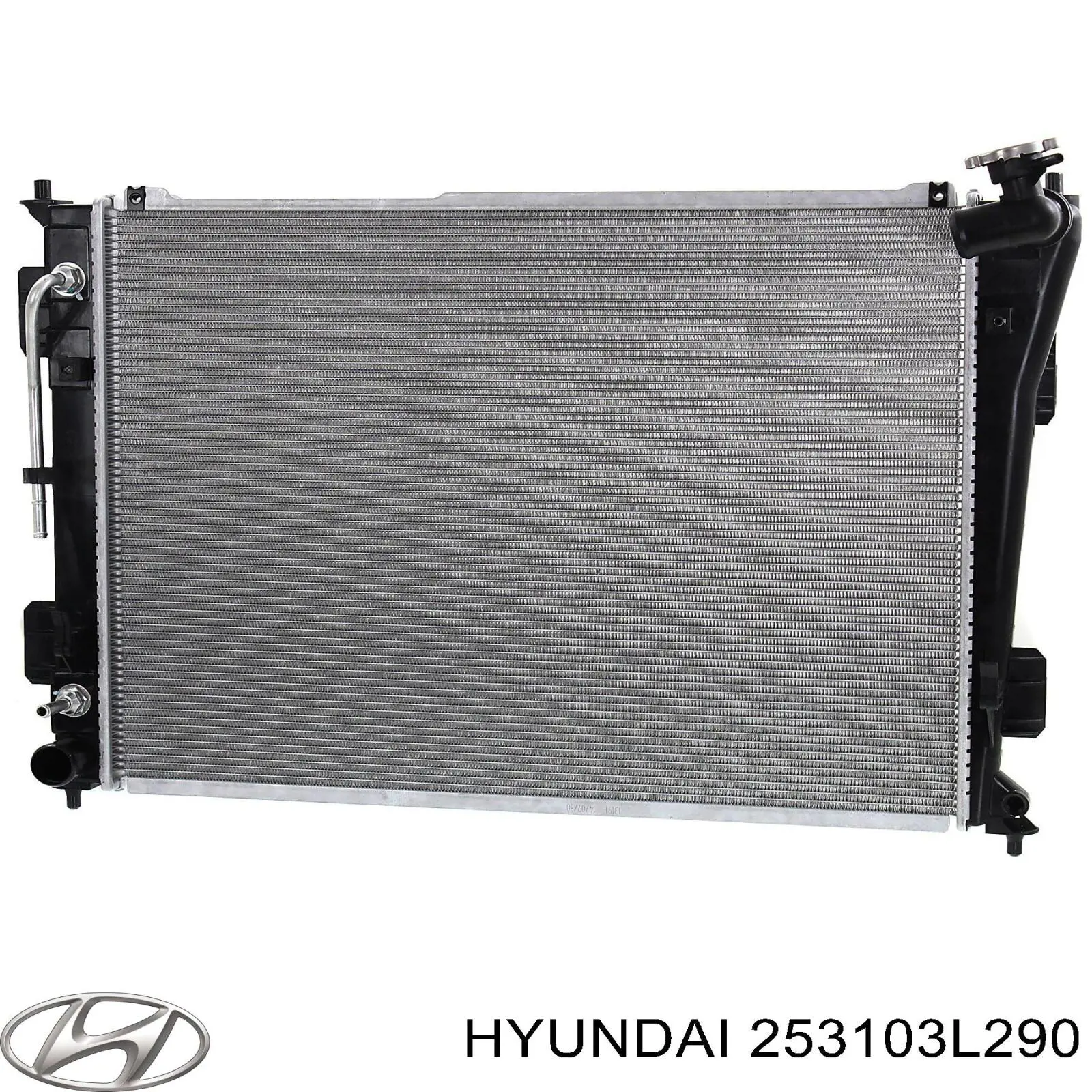 Радиатор 253103L290 Hyundai/Kia