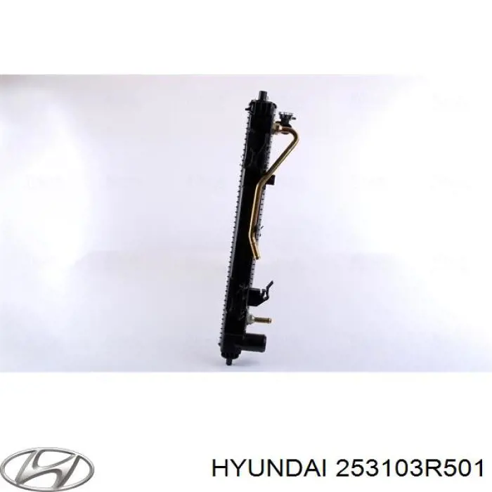 Радиатор охлаждения двигателя Hyundai/Kia 253103R501 цена, от 78.81 USD
