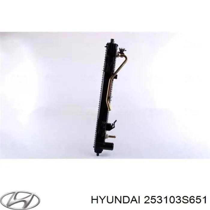 Радиатор охлаждения двигателя Hyundai/Kia 253103S651 цена, от 163.47 USD