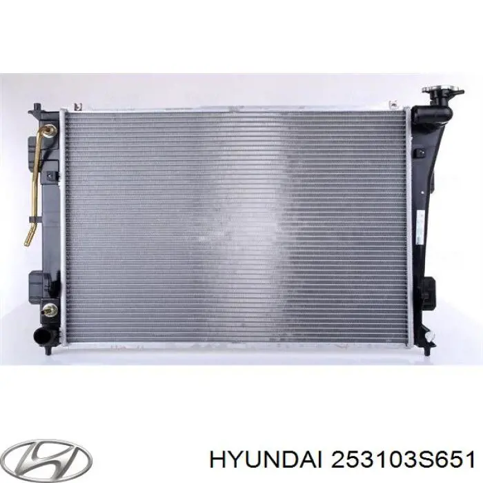 Купить 253103S651 Hyundai/Kia Радиатор водяной