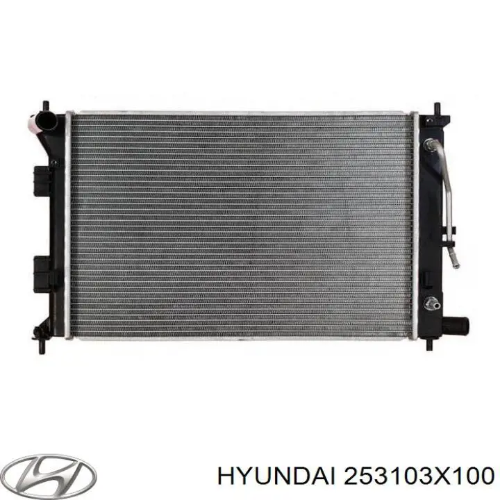 253103X100 Hyundai/Kia радиатор