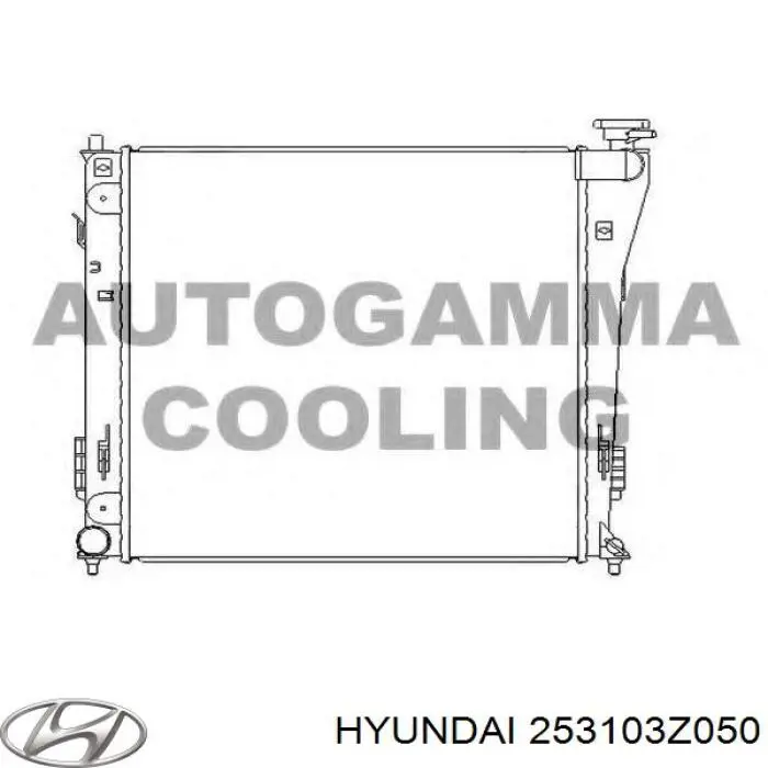 Купить 253103Z050 Hyundai/Kia Радиатор водяной