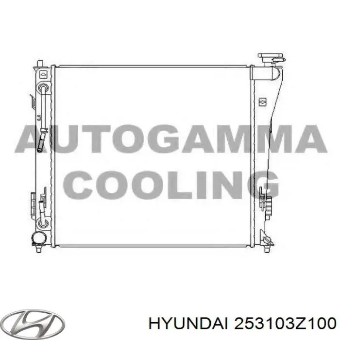 Купить 253103Z100 Hyundai/Kia Радиатор водяной