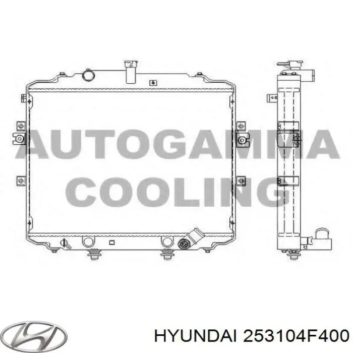 Радиатор 253104F400 Hyundai/Kia