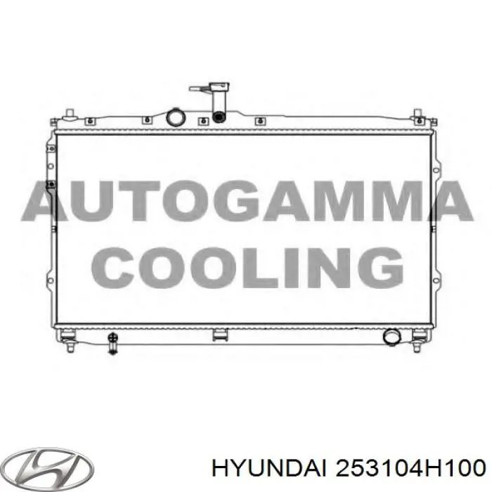 Радиатор охлаждения Hyundai/Kia 253104H350