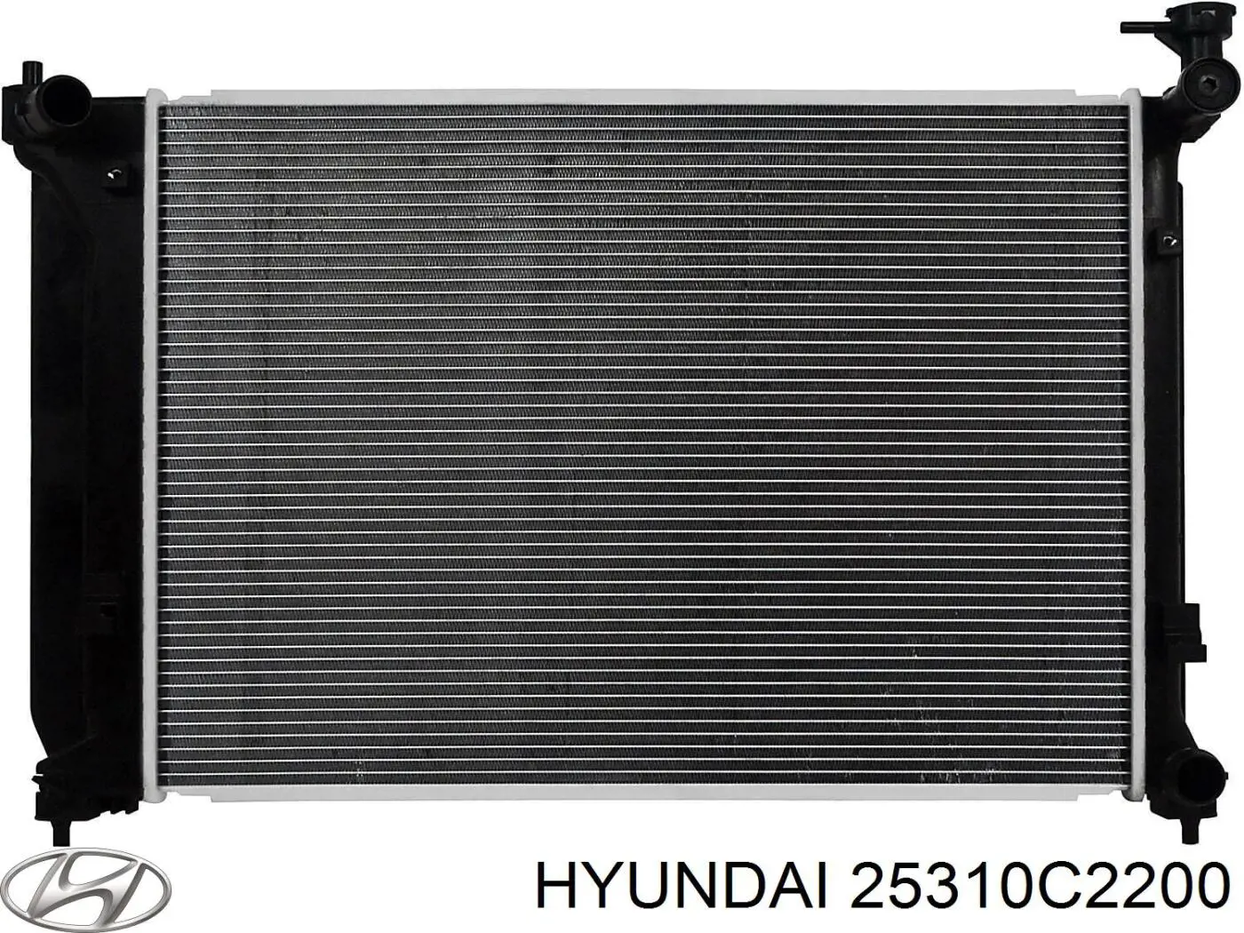  25310C2200 Hyundai/Kia