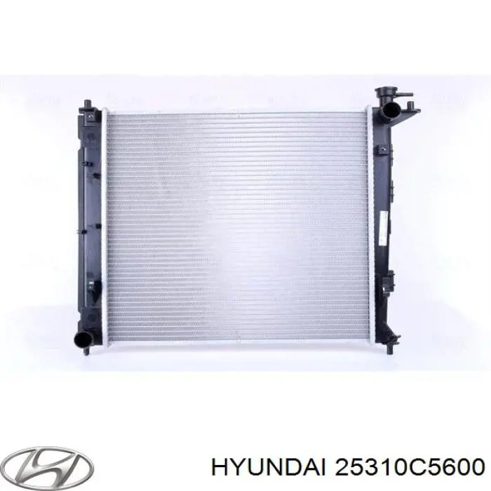  25310C5600 Hyundai/Kia