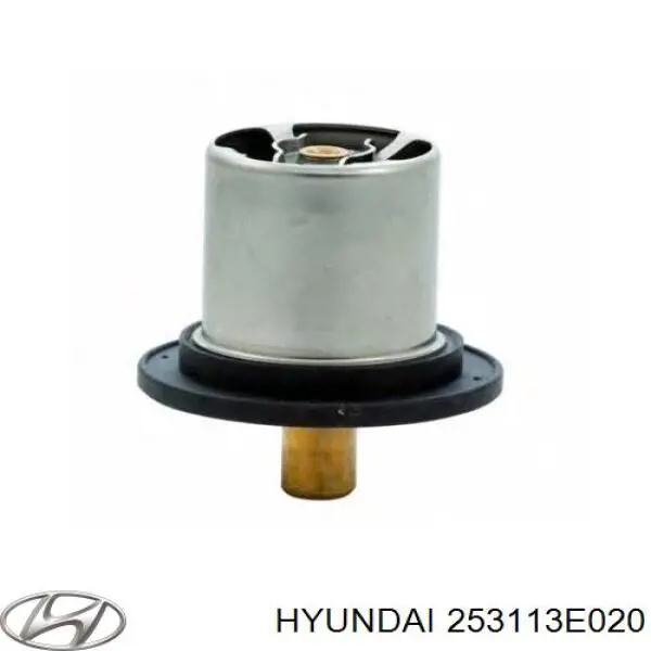 253113E020 Hyundai/Kia 