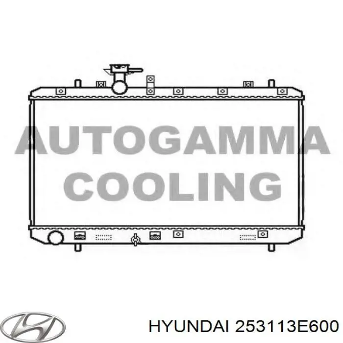 Купить 253113E600 Hyundai/Kia Радиатор водяной