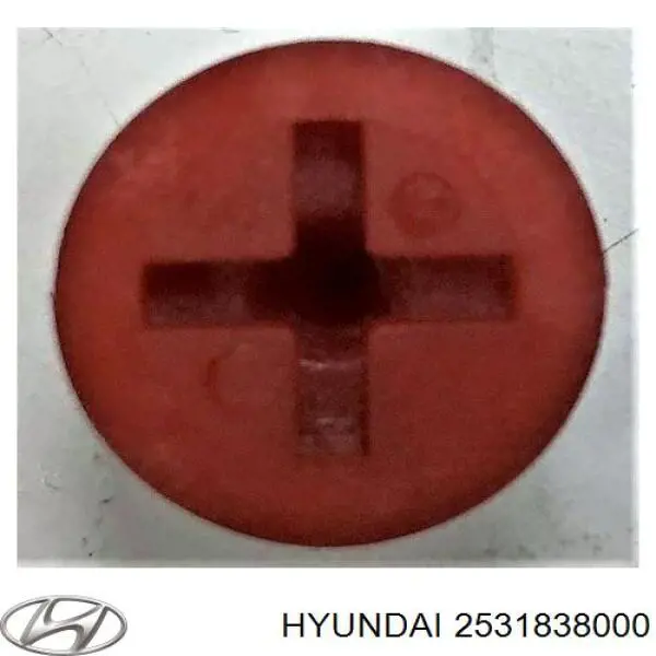 Радиатор охлаждения двигателя Hyundai/Kia 2531838000 цена, от 3.05 USD