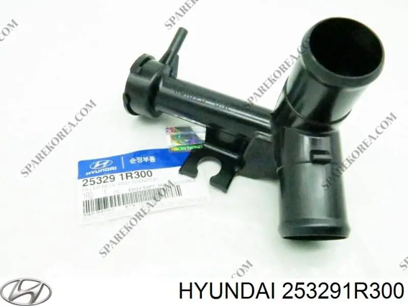 253291R300 Hyundai/Kia 