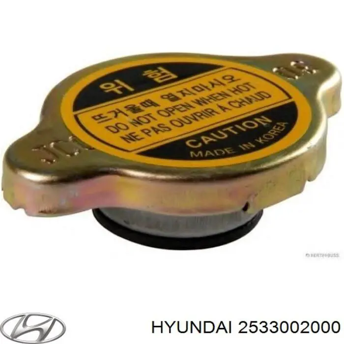 2533002000 Hyundai/Kia tampa (tampão do radiador)