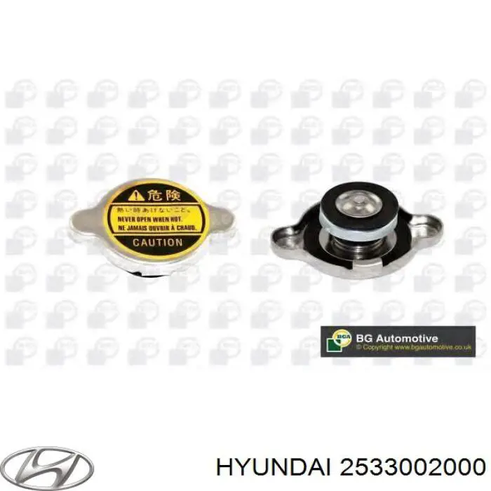 2533002000 Hyundai/Kia