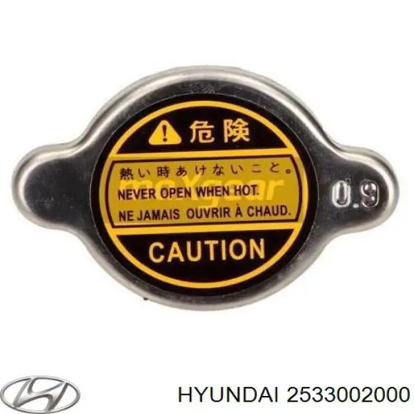 Крышка/пробка радиатора Hyundai/Kia 2533002000 цена, от 5.64 USD