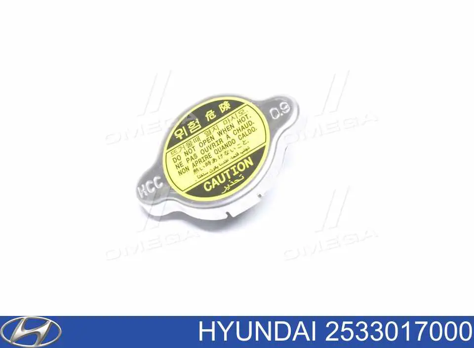 2533017000 Hyundai/Kia крышка (пробка радиатора)