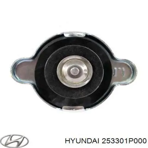 Кришка/пробка радіатора 253301P000 Hyundai/Kia