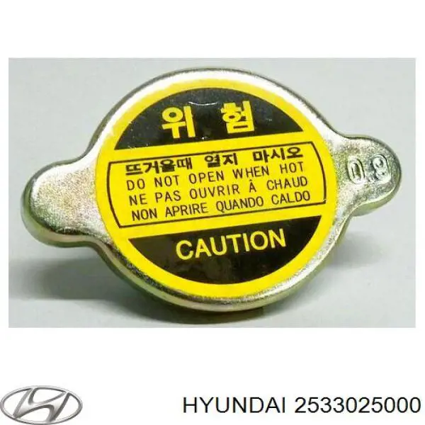 Пробка радиатора Hyundai/Kia 2533025000