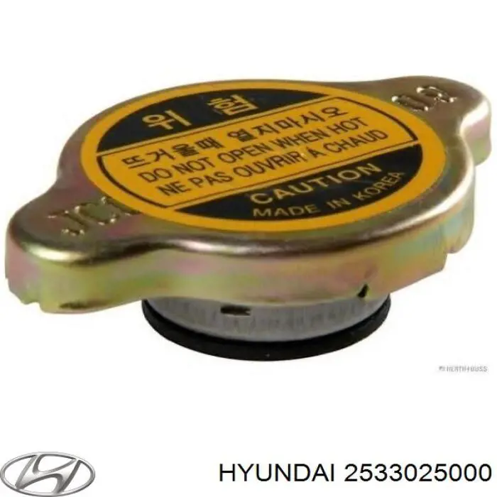 2533025000 Hyundai/Kia крышка (пробка радиатора)