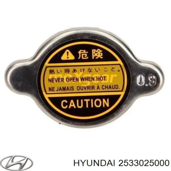 Купить 2533025000 Hyundai/Kia Крышка радиатора