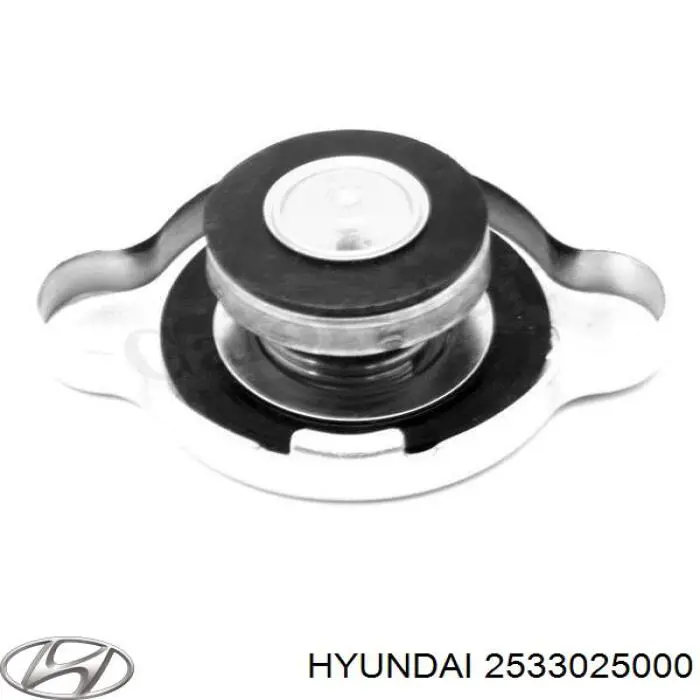 Крышка радиатора 2533025000 Hyundai/Kia