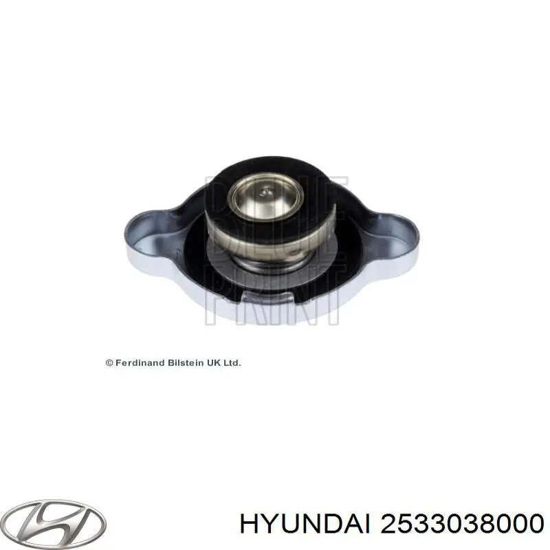 2533038000 Hyundai/Kia Крышка бачка радиатора