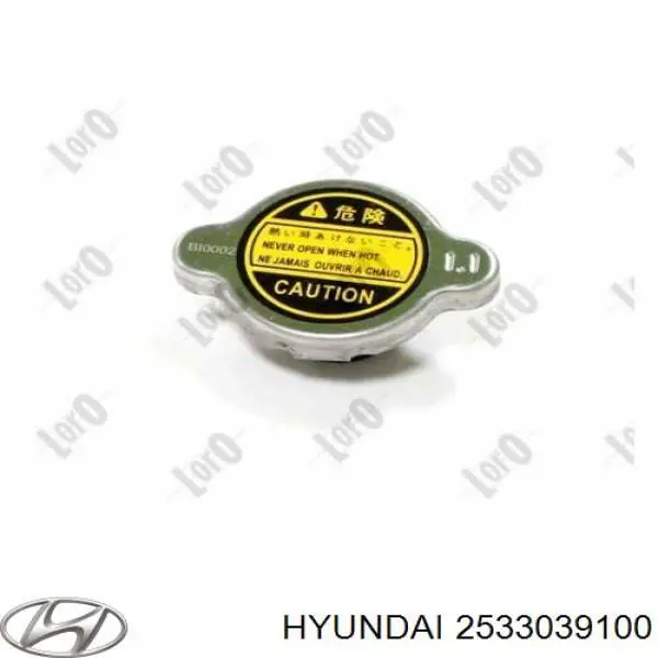 2533039100 Hyundai/Kia Крышка бачка радиатора