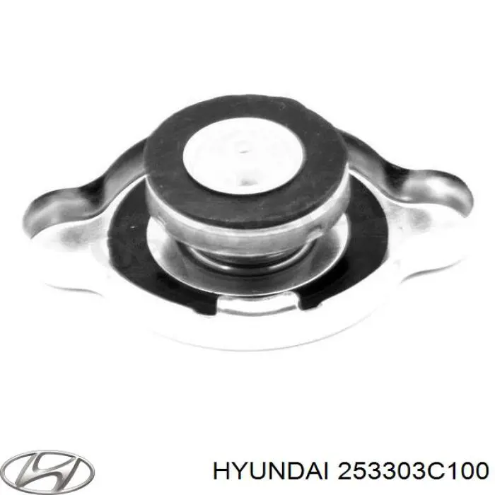 Крышка/пробка радиатора Hyundai/Kia 253303C100 цена, от 3.41 USD