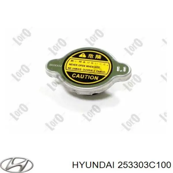 253303C100 Hyundai/Kia Крышка бачка радиатора