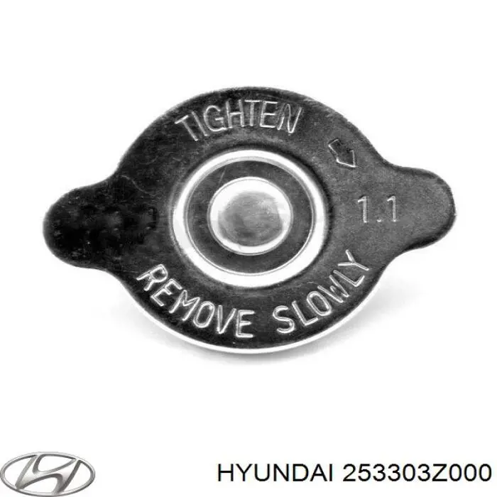 253303Z000 Hyundai/Kia tampa (tampão do radiador)