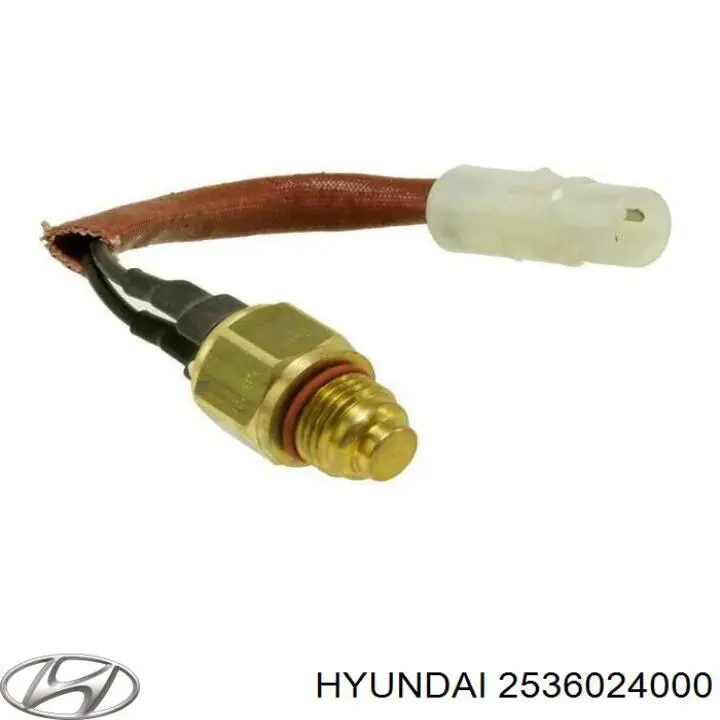 2536024000 Hyundai/Kia датчик температуры охлаждающей жидкости (включения вентилятора радиатора)