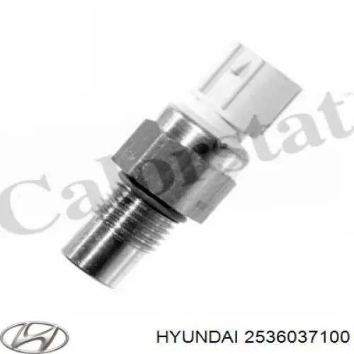 2536037100 Hyundai/Kia датчик температуры охлаждающей жидкости (включения вентилятора радиатора)