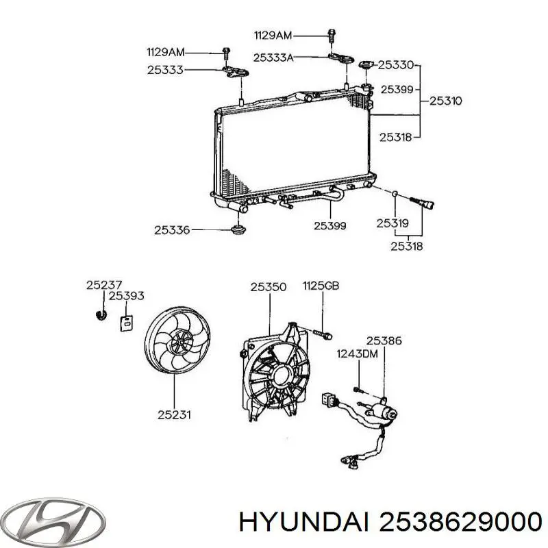 Мотор вентилятора системы охлаждения Hyundai/Kia 2538629000