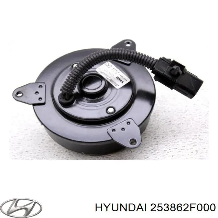 253862F000 Hyundai/Kia 