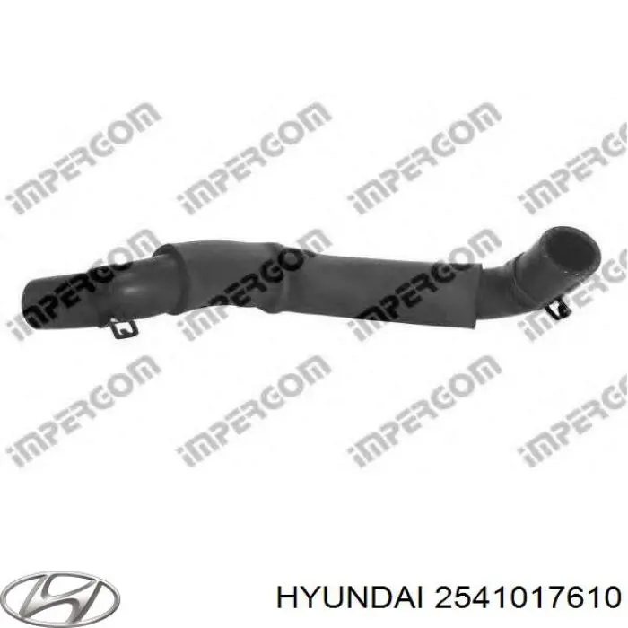  2541017610 Hyundai/Kia