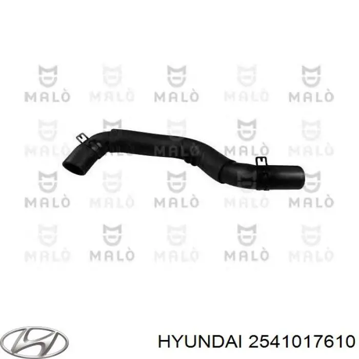 Купить 2541017610 Hyundai/Kia Патрубок радиатора