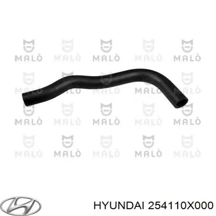 254110X000 Hyundai/Kia 