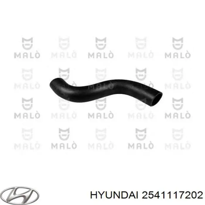 Шланг радиатора охлаждения Hyundai/Kia 2541117202 цена, от 3.68 USD