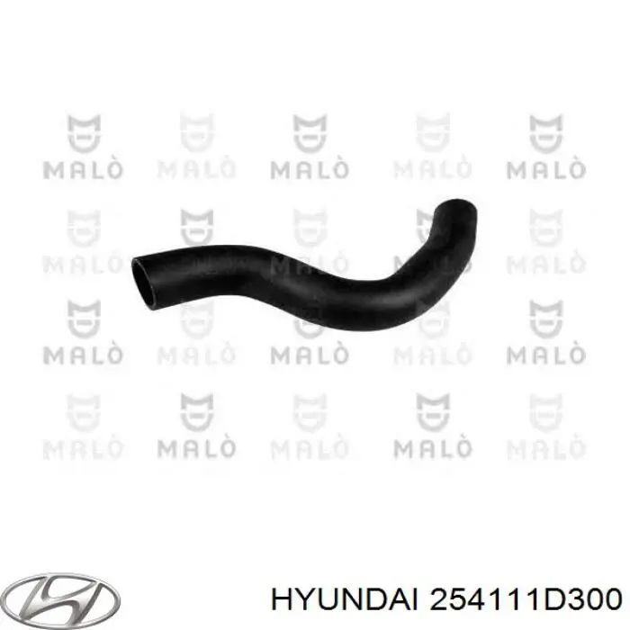 254111D300 Hyundai/Kia 