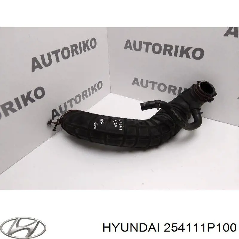 254111P100 Hyundai/Kia 