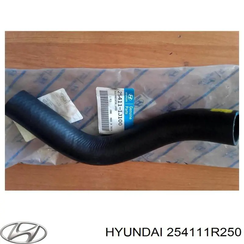 254111R250 Hyundai/Kia 