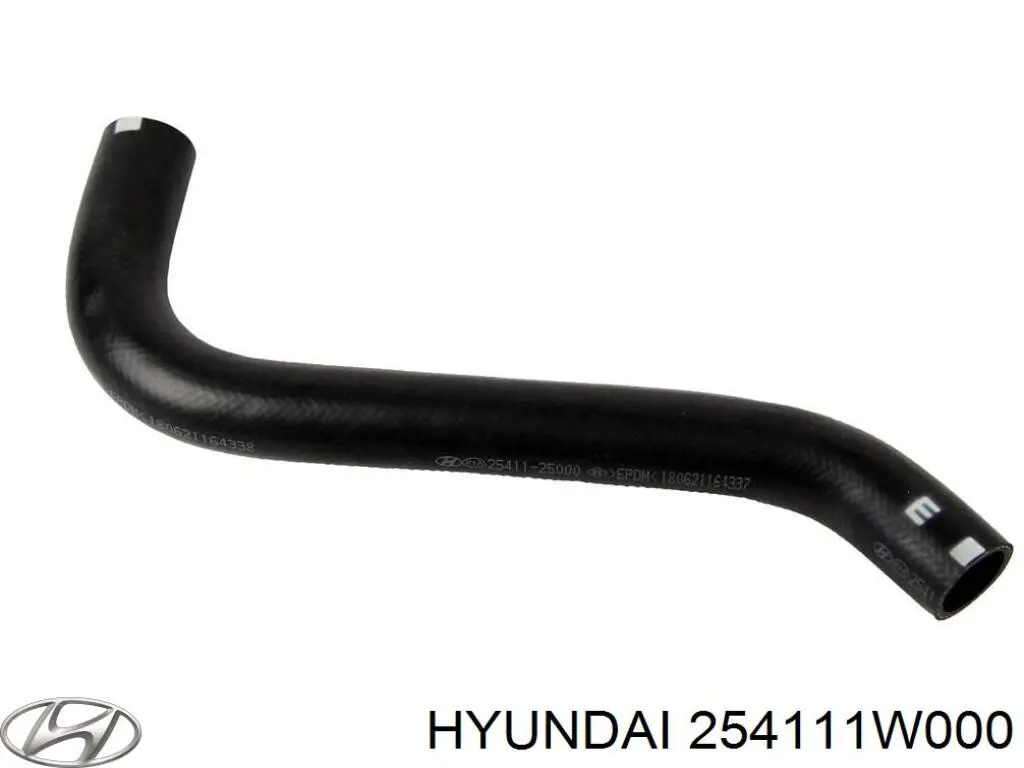 254111W000 Hyundai/Kia 