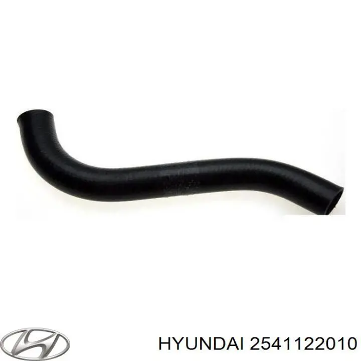 Патрубок системи охолодження 2541122010 Hyundai/Kia